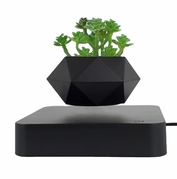 Mini-jardin en lévitation HEXAFLY NORDIC – BABYLONIA – Image 2